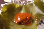鲍鱼鱼翅