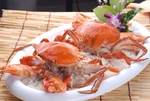 炒饭盖饭