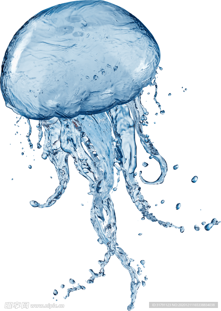 水母