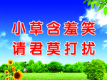 小草含羞笑