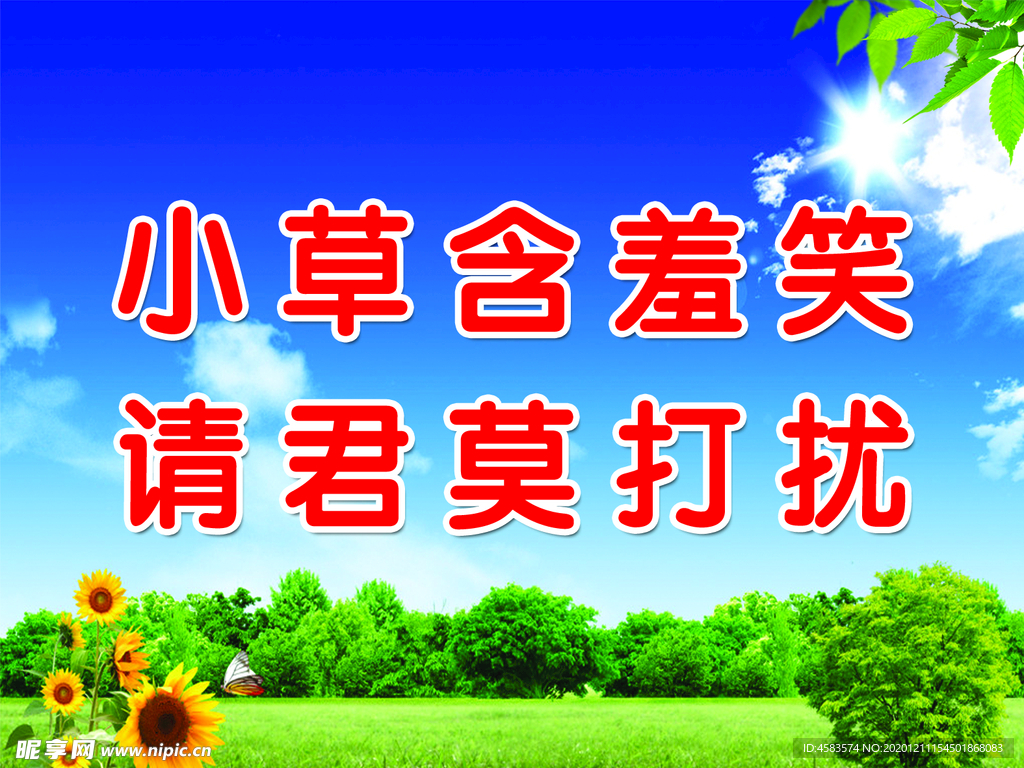 小草含羞笑