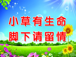 小草有生微命