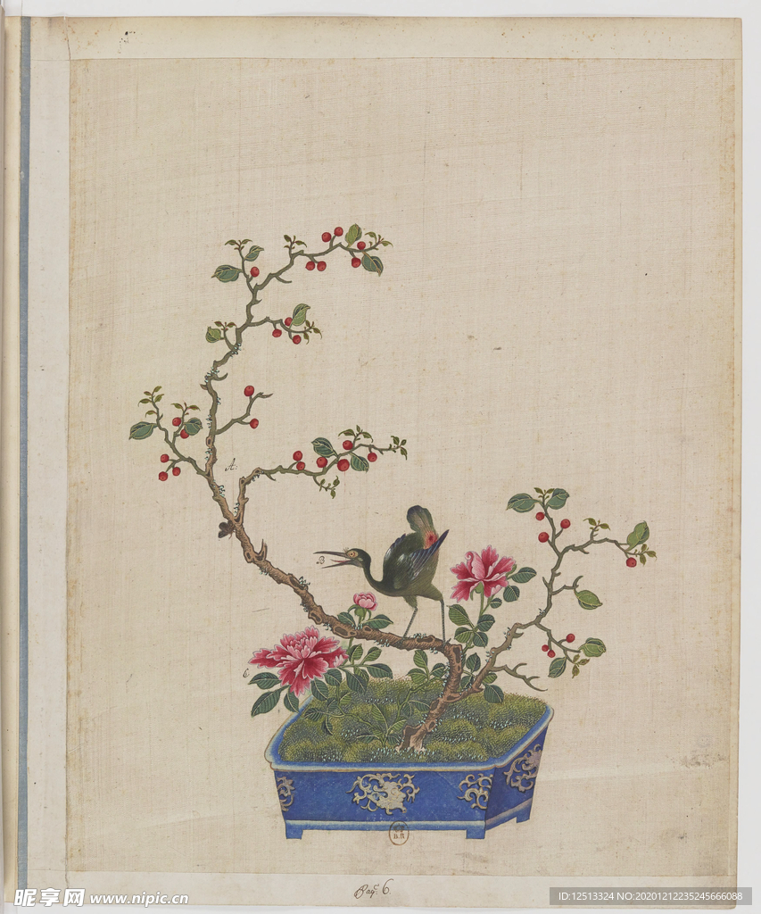 盆景花鸟