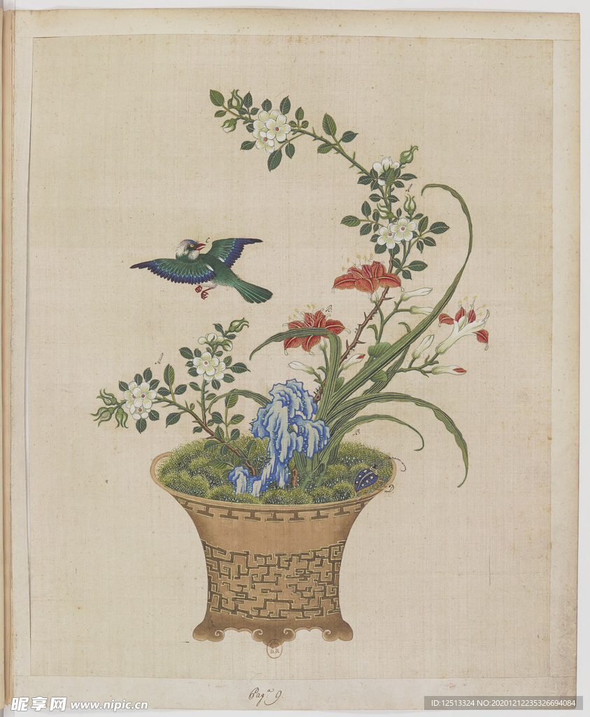 盆景花鸟