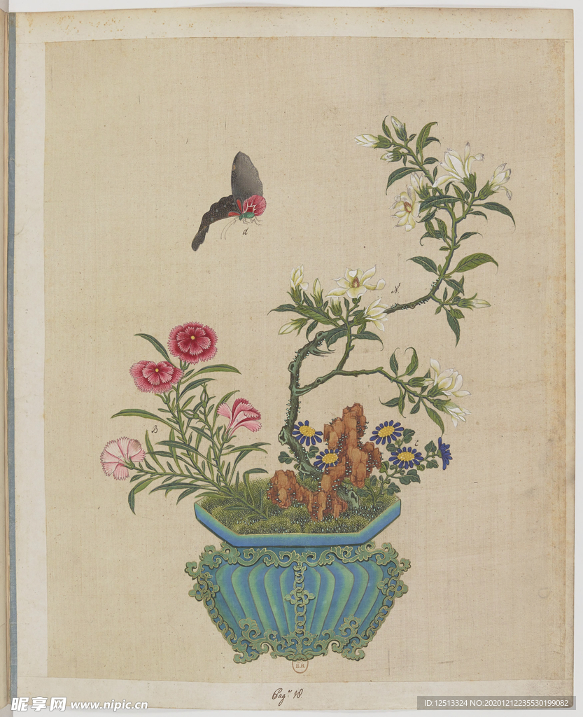 盆景花鸟
