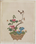 盆景花鸟
