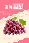 葡萄海报