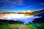 风景