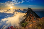 风景