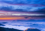 风景