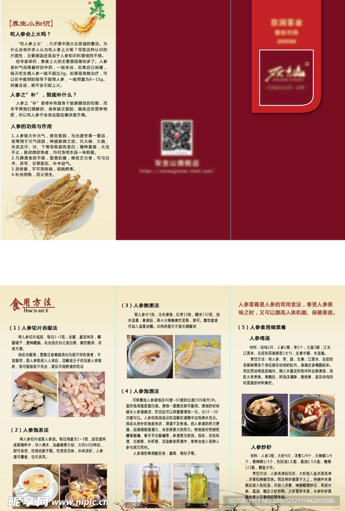 人参三折页