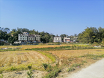 农村 田野 农田 水稻 稻田