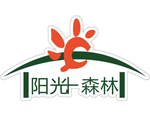 阳光森林