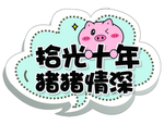 拾光十年 猪猪情深
