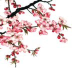梅花