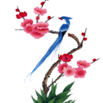 梅花