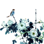 梅花