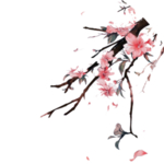 梅花