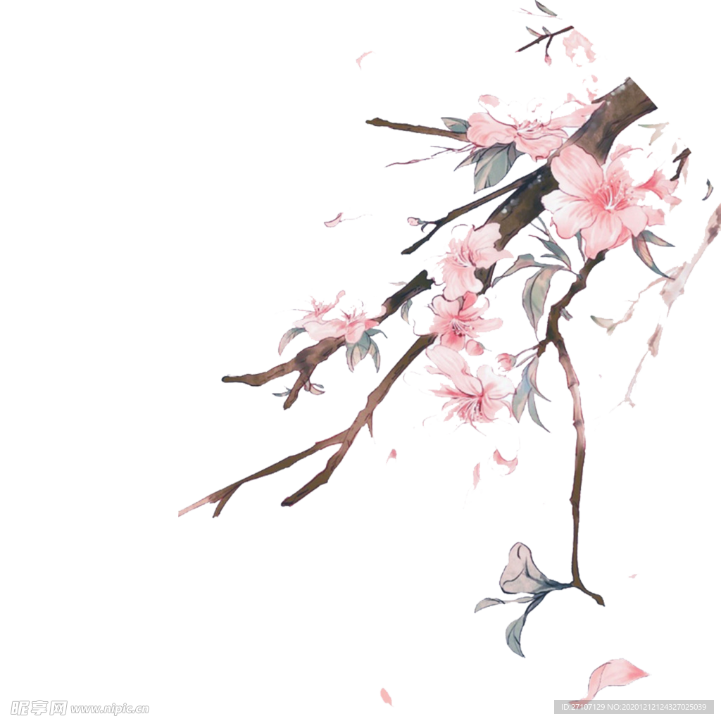 梅花