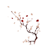梅花
