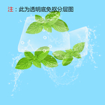 薄荷叶