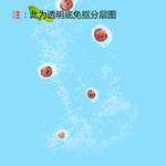 冰块
