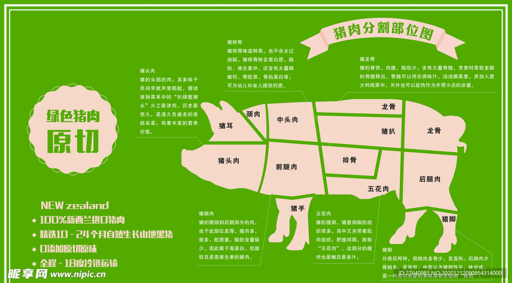 猪肉分割图