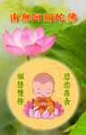 卡套