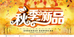 秋季上新