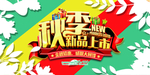 秋季上新