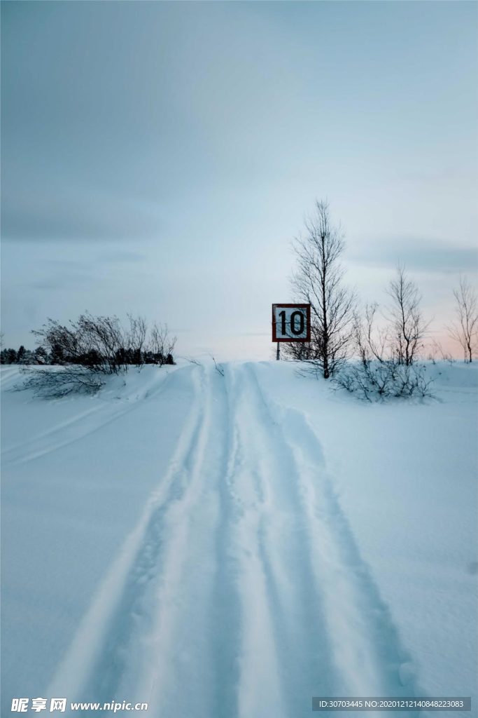 雪地