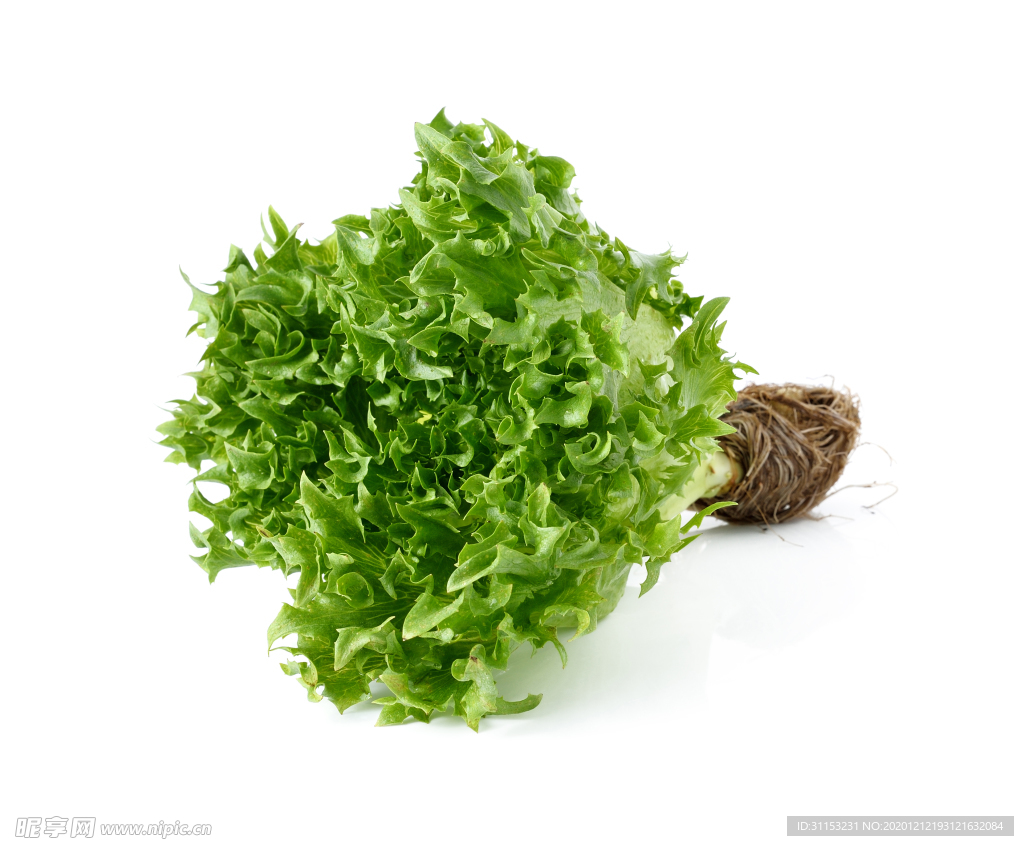 蔬菜