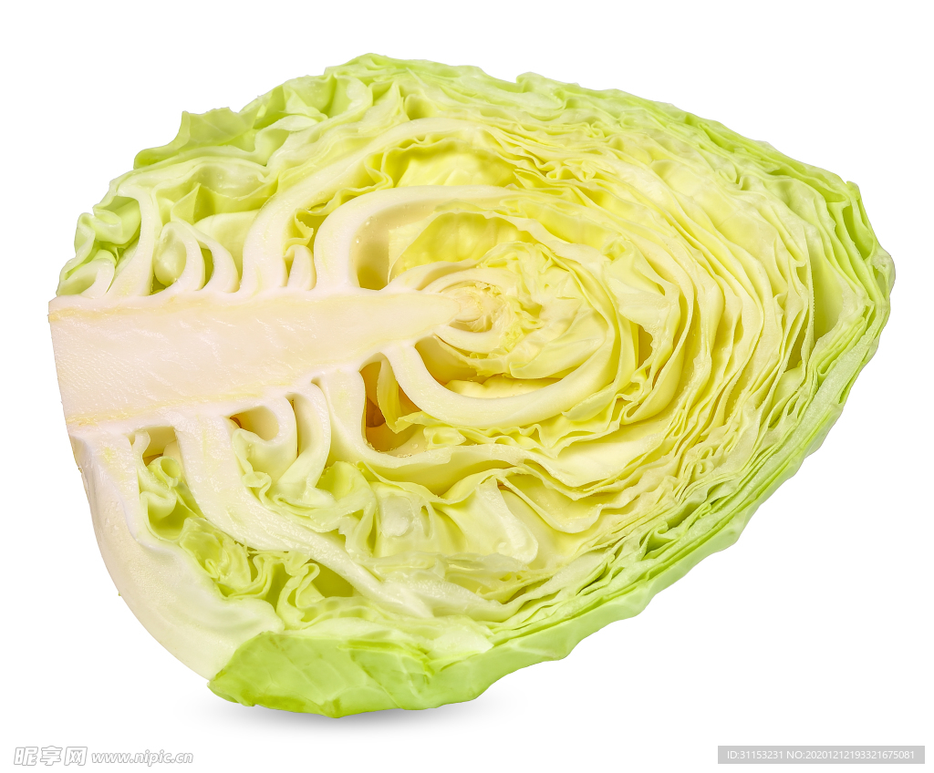 包菜