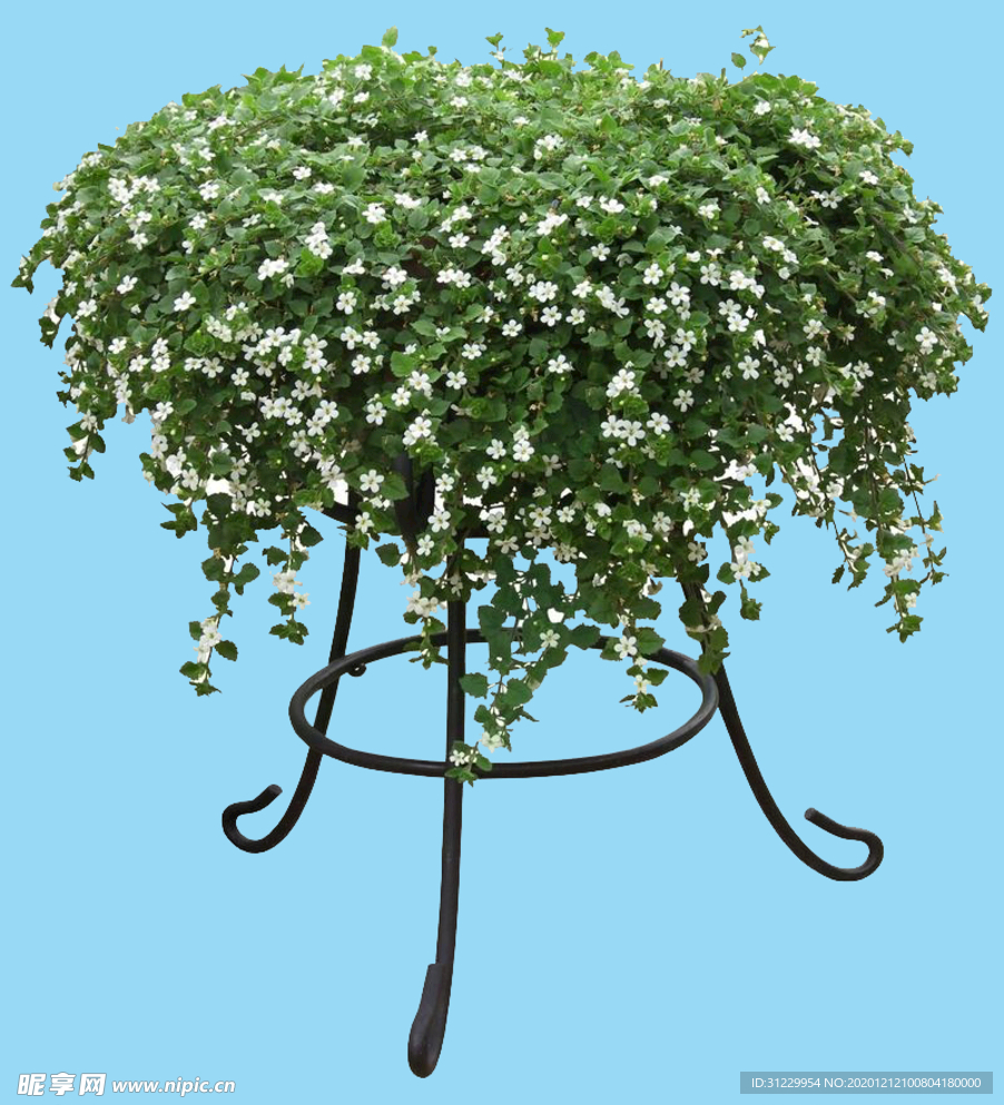 绿色植物家具花架