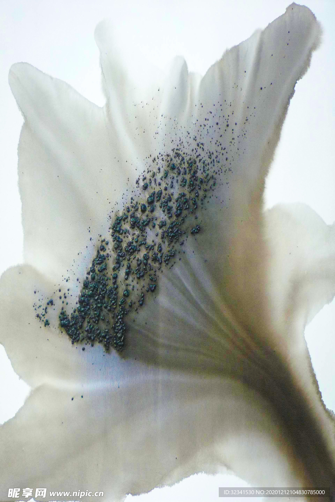 抽象装饰画
