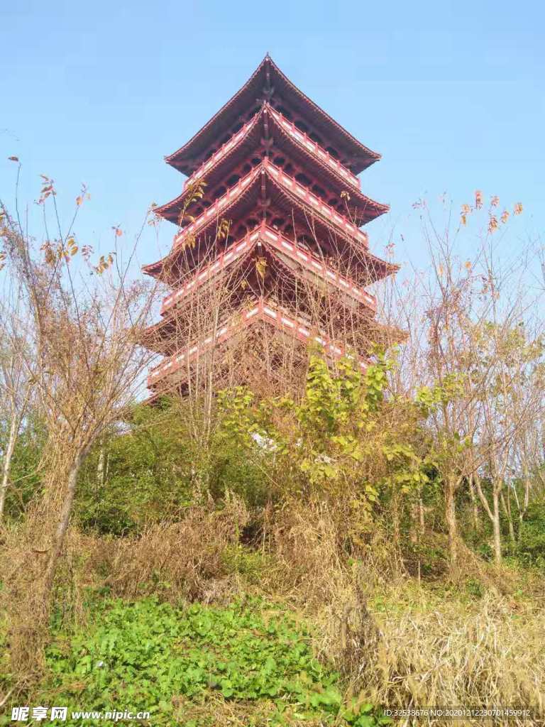 楼阁