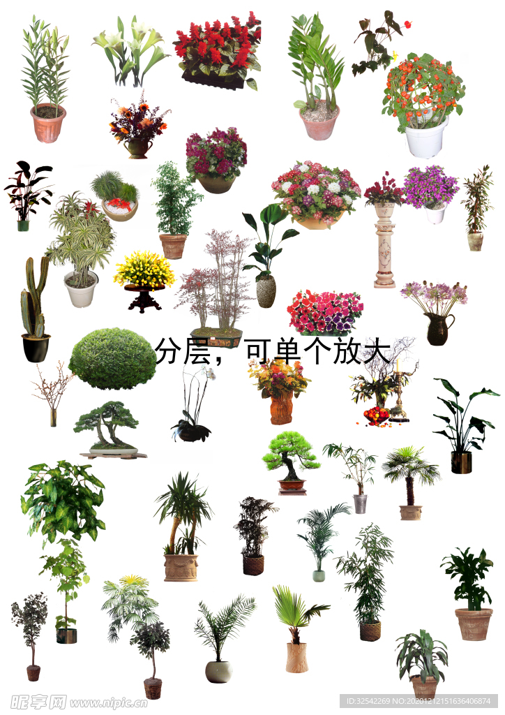 盆栽