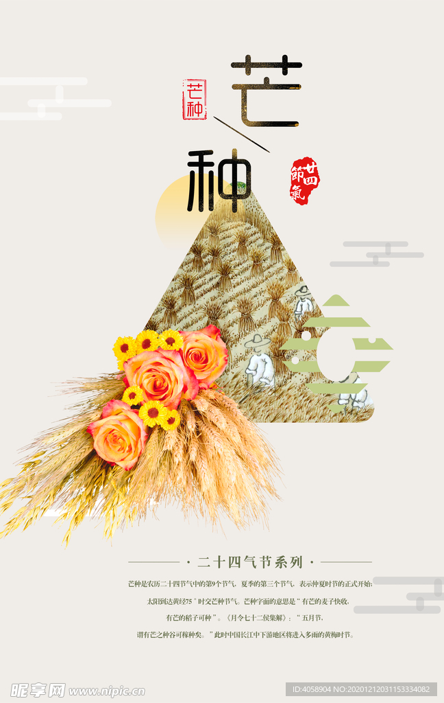 芒种