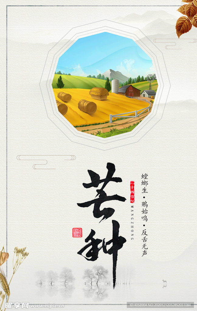 芒种