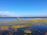洱海