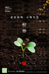 惊蛰