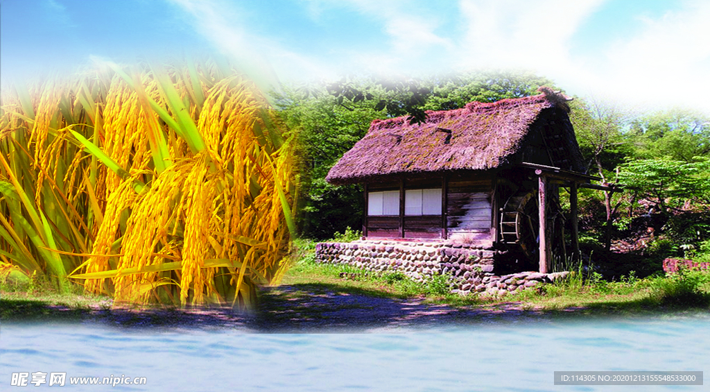 水稻与小屋
