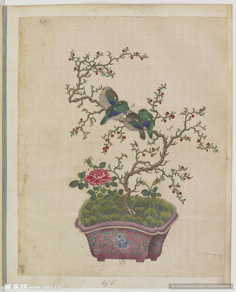 盆景花鸟