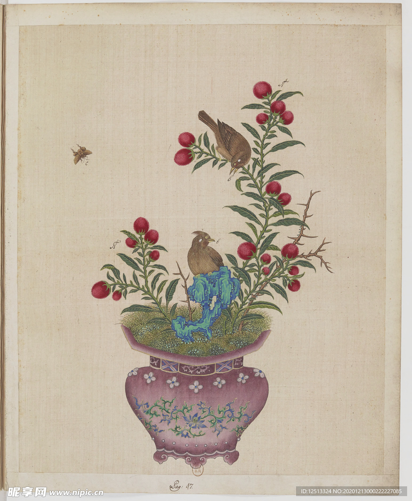 盆景花鸟
