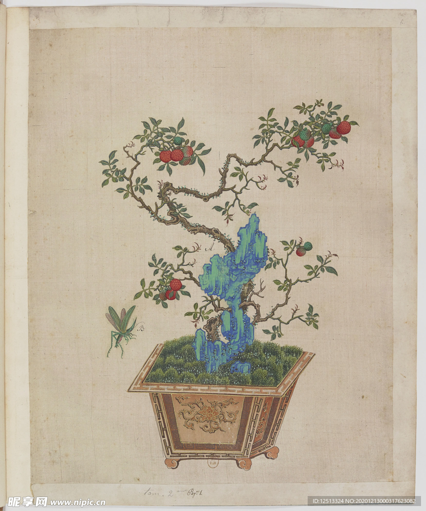 盆景花鸟