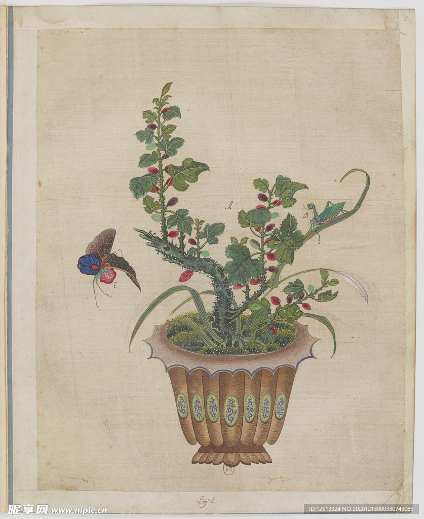 盆景花鸟