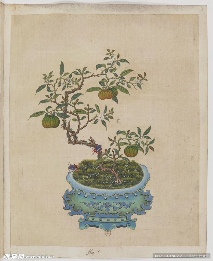 盆景花鸟