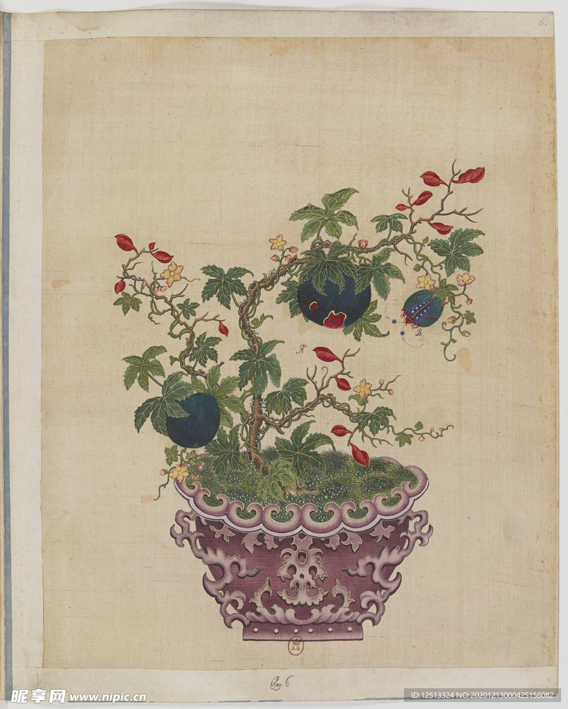 盆景花鸟