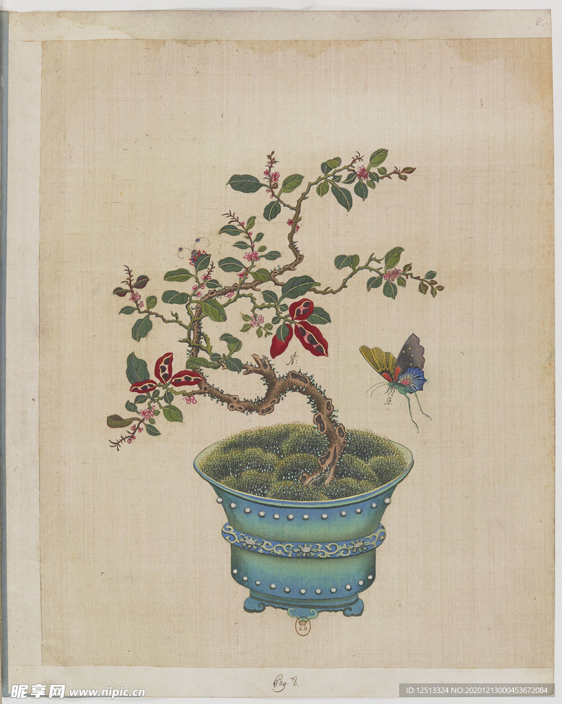 盆景花鸟