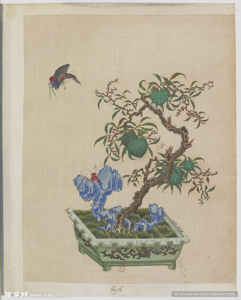 盆景花鸟